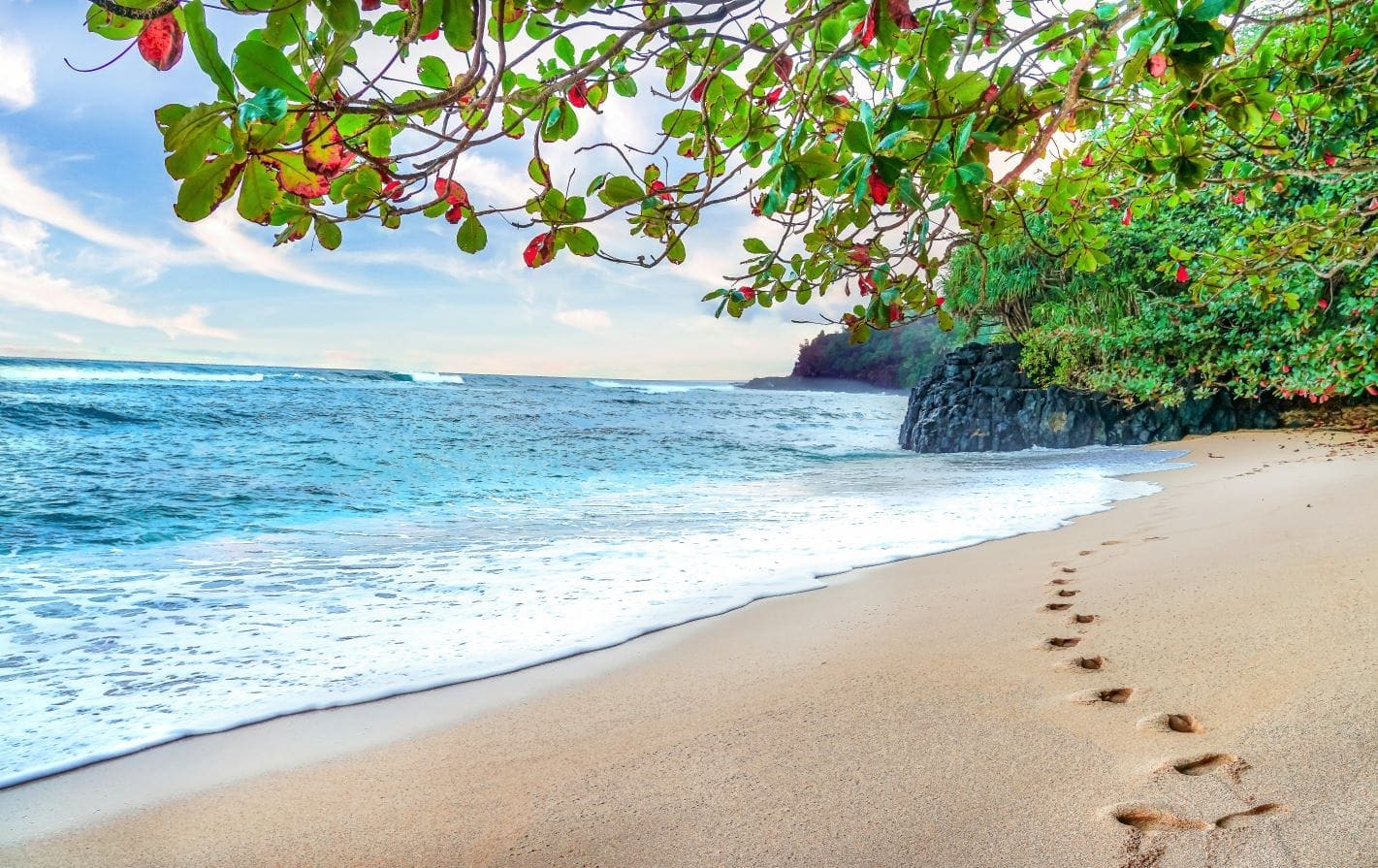 Secret Beach
