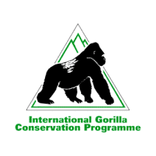 Gorilla Conservation