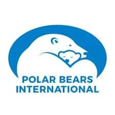 Polar Bears International