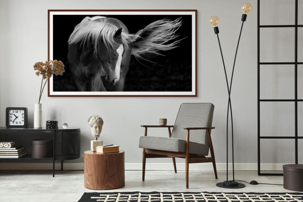 dreaming horse b w