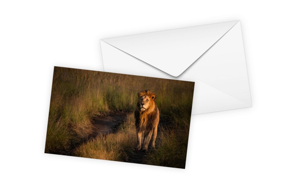 Art Cards