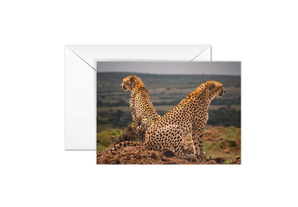Art Cards