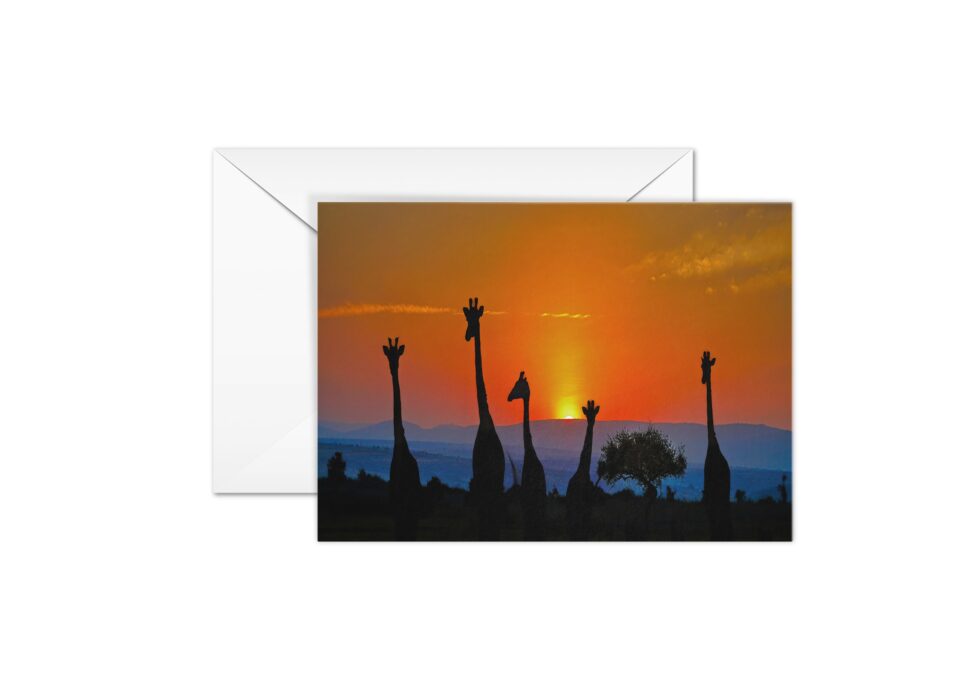 Art Cards