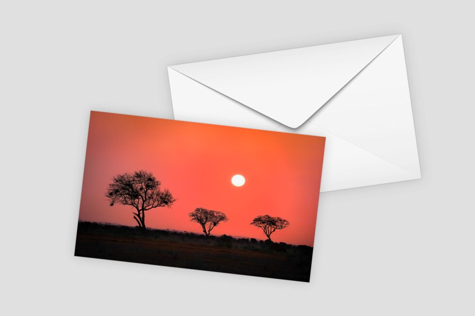 Art Cards