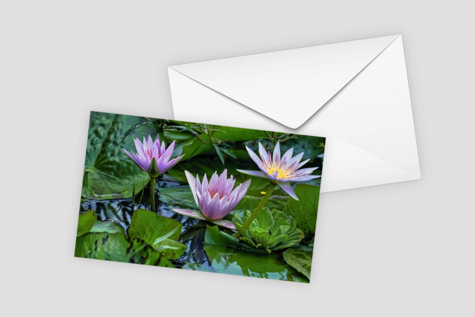 Art Cards
