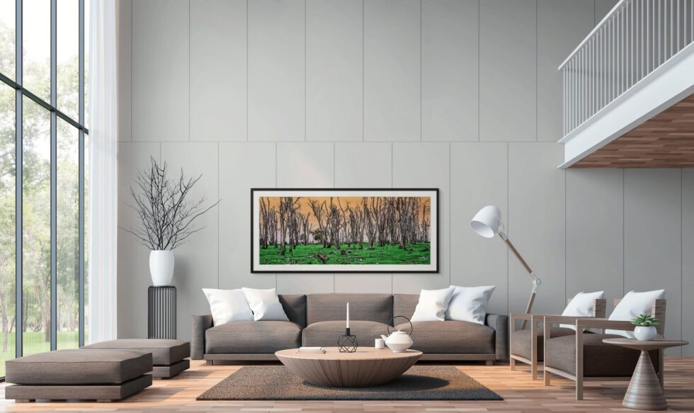 Dead Tree Forest