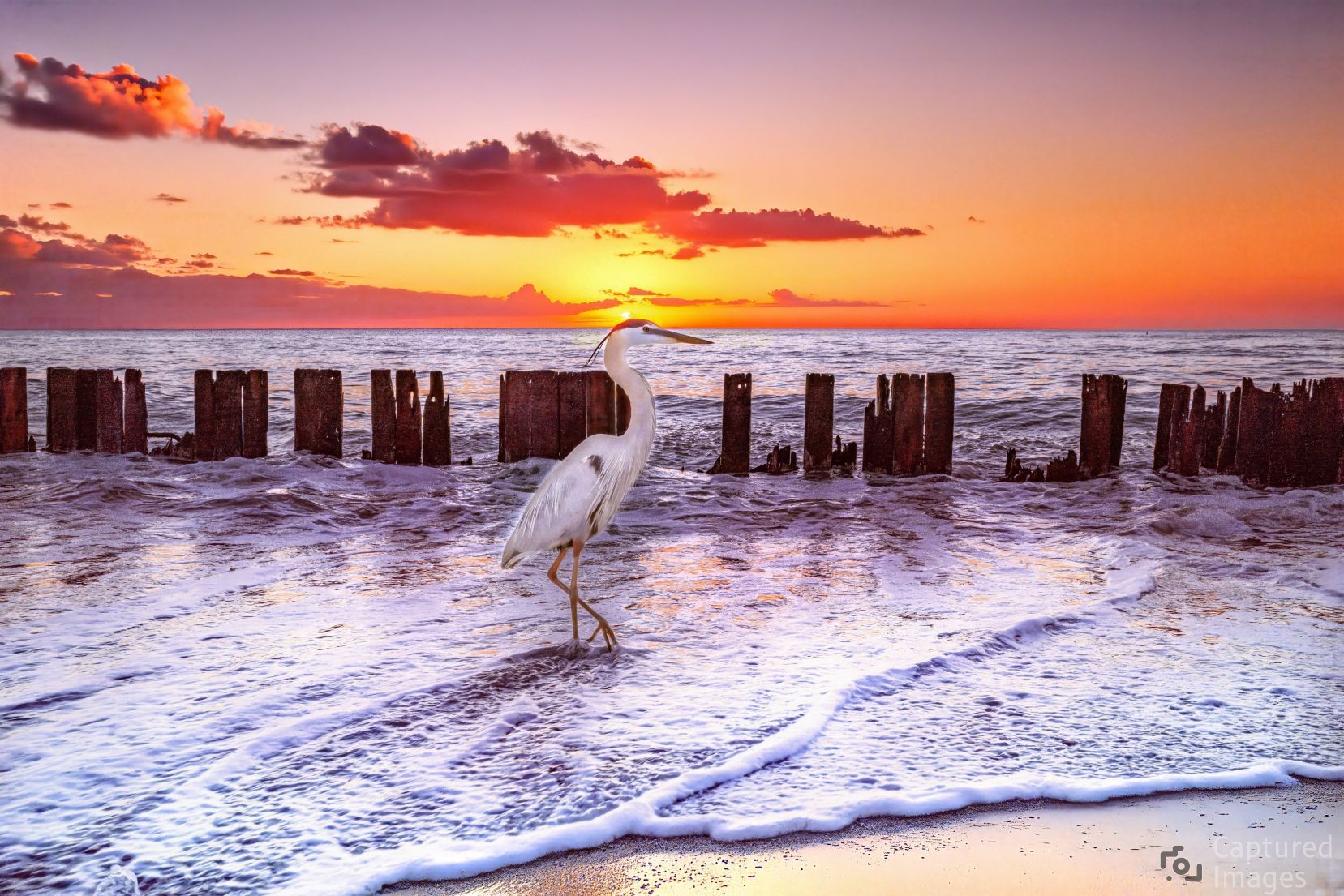 Purple Sunset over Sanibel